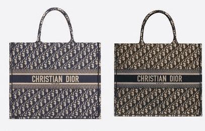 DIOR TOTE包包究竟有什么魅力 一出来马上火遍全球 