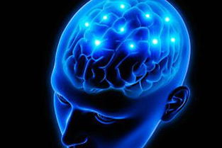 美科学家研发大脑成像技术,或能解读复杂思想