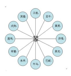 十二生肖的合 冲 害 刑 