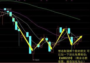 科大国创或短期见底，低位BOLL值收窄，5天上涨概率较大