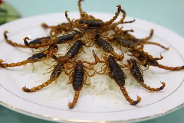 农村五种怪异的野味,这些虫子你敢吃吗 