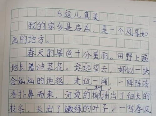 家长晒三年级学霸限时作文,字迹严谨大方,成为家长传阅的焦点