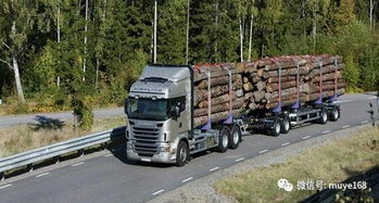 木材运输车辆大量增加,运费下调影响价格变动