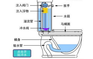 抽水马桶不上水怎么办 马桶不上水的处理方法