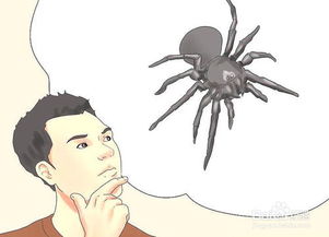 如何治疗蜘蛛咬伤 