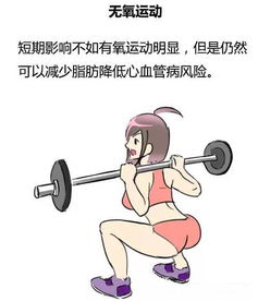 无氧运动和有氧运动有什么区别 