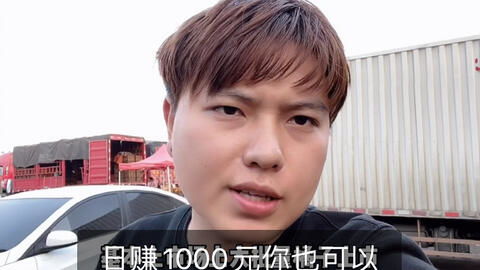 杰哥市场进货,全部都是批发橘子的,摆地摊卖橘子日入1000不是梦