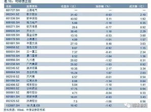 转股价格的什么是转股价格