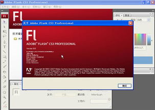 adobe flash cs3简体中文免激活免注册版