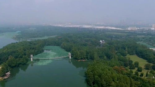 东湖落雁岛景区收费吗 门票价格到底多少钱 (东湖雁落景区停车场收费标准)