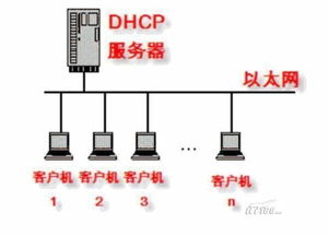 win10手动设置dhcp服务器