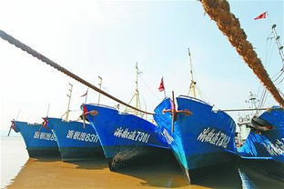 梅花 来袭大批渔船回港避风 第A07版 国内国际 20110805期 