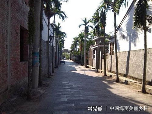 美丽乡村之 历史文化名村海口市美社村