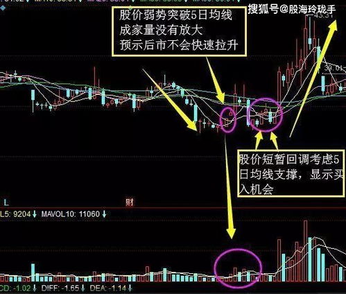 我投资50万朋友投资5万，怎么算股份