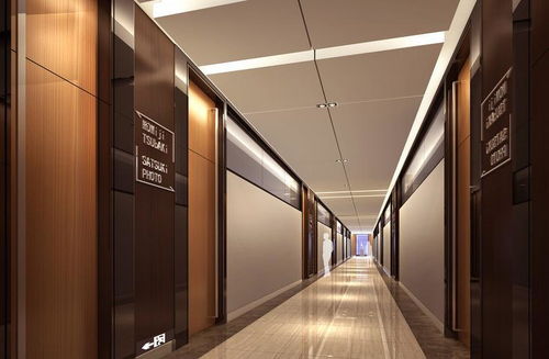 2017宾馆走廊装修 房天下装修效果图 