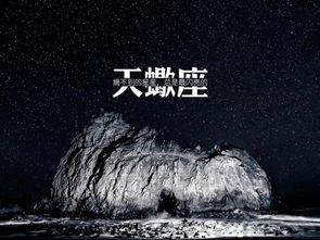 十二星座行事指南