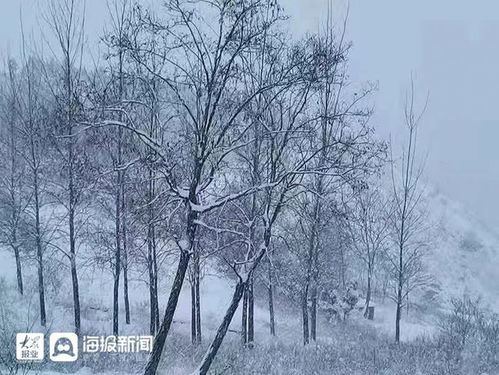 深达14厘米 淄博好大好厚一场雪 今晨实拍图来袭