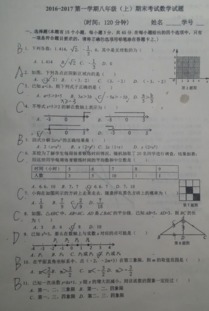 初二数学上册期末试题