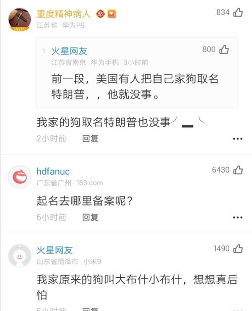 狗名字叫城管 协管被拘 网友们急问 法律依据呢