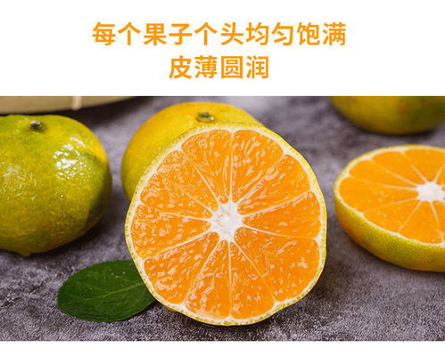 云南蜜桔现摘桔子青.皮应季孕妇水果3 9斤新鲜橘子x