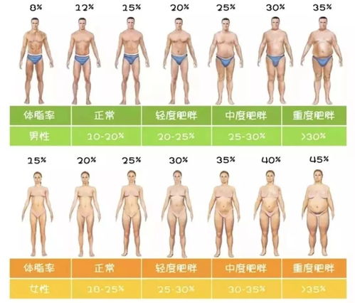 女性体脂率 搜狗图片搜索