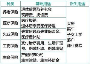 怎么查公司给我交了多少社保?