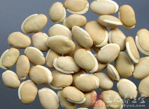 白扁豆的做法 经常食用对人体有好处