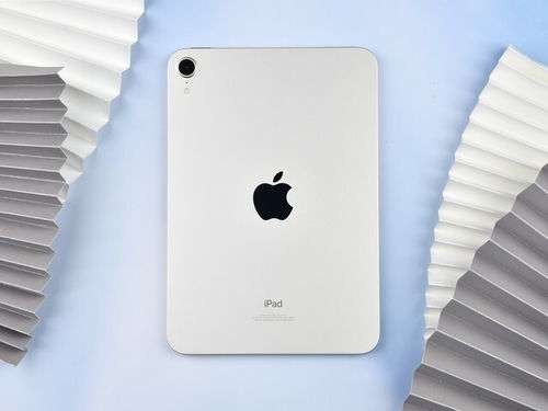 我是傻X 千万别学我买iPad mini 6