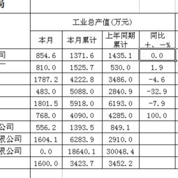 Excel的同比公式怎么弄呀