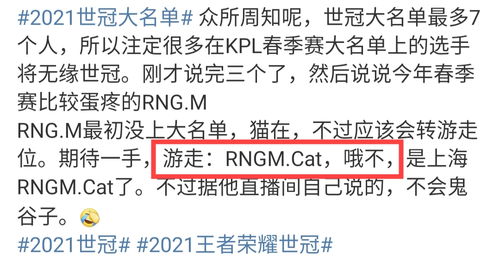 猫神转型辅助后,入选RNGM世冠名单,职业生涯是否完美就看这次了