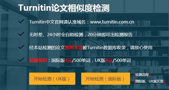turnitin英文论文检测 提供全程指导