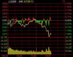 震荡下挫什么意思