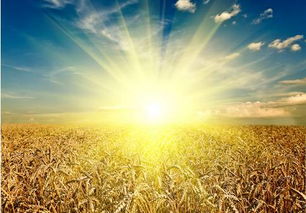 太阳象征着什么寓意,什么是光明，光明对于人类的意义何在？