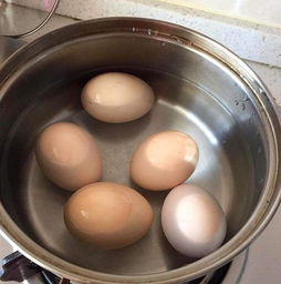 煮鸡蛋的皮能养花吗