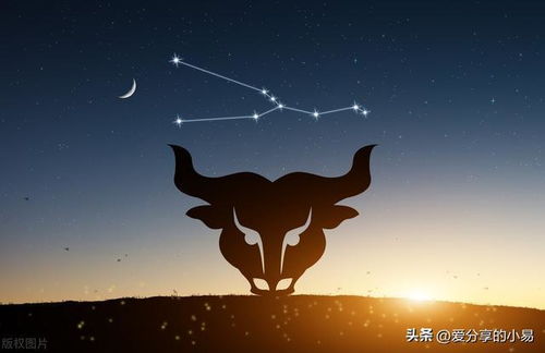 金牛座的守护星介绍,它能给金牛座带来什么