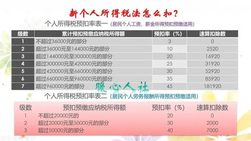 林木种植待林木成熟后砍划销售的收入要缴纳所得税吗？谢谢！