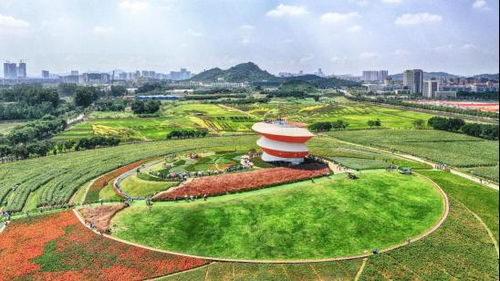 六一儿童节深圳光明小镇欢乐田园活动(光明欢乐田园附近免费停车场)