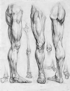 古代绘画中躯干肥硕、四肢细弱的形象是写实还是艺术创作手法