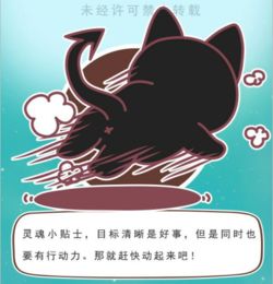 猫石对话2017年3月运势