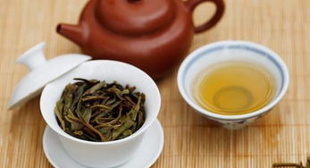 大益普洱茶生茶和熟茶的泡法,大益生茶的冲泡方法?
