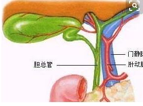 胆管癌会遗传给下一代吗 