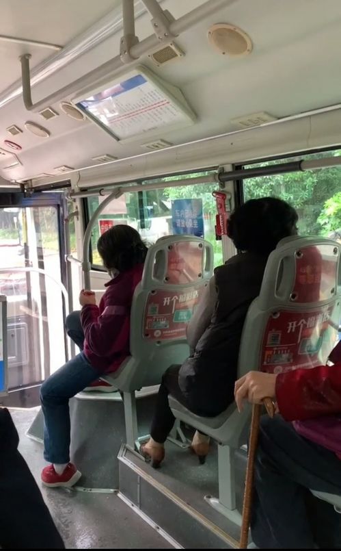 网传重庆多位老人早高峰上公交不买票,称 到免费时间再刷 ,司机无奈停车,公司回应