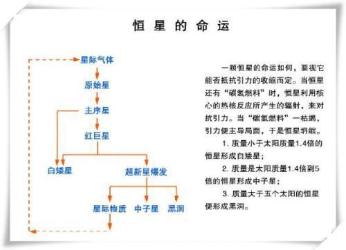 恒星的十大奇趣冷知识, 太阳表面生存着的等离子体生命吗