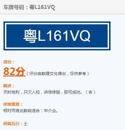 粤l161vq是否吉兄 