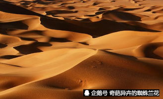 世界上唯一在沙漠中心的城市,千百年来沙不进绿不退人不迁 