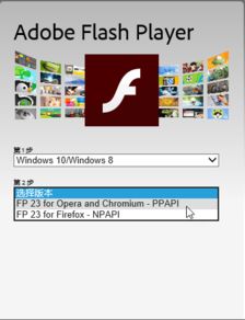 win10电脑的flash更新在哪里