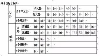 音节词语拼读大全及解释,多音节单词拼读规则口诀？