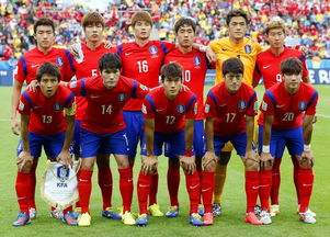 2018年足球世界杯韩国队成绩