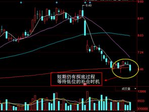 今天沧州明珠是怎么回事？涨了15个点，为什么不受涨停板限制？