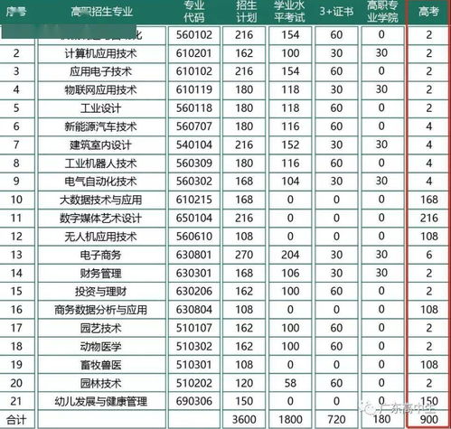 成都高职高考可以考什么大学